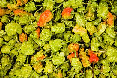 《WWE 2K23》PC版将基于上世代主机版本制作